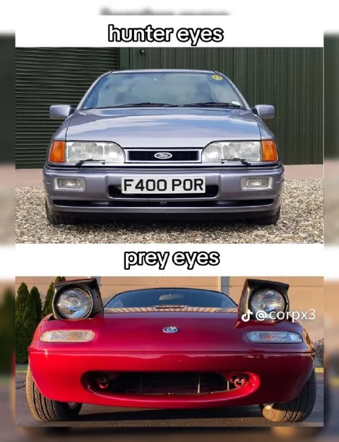 Hunter Eyes Prey Eyes Cars