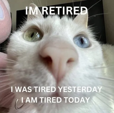 Retired but Still Tired