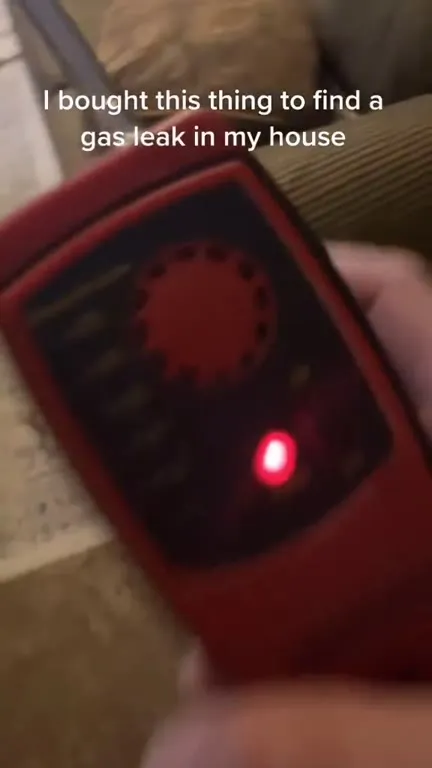 Gas Leak Detector Finds Something