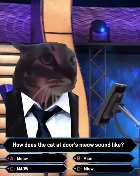 Cat Wants to Be a Millionaire