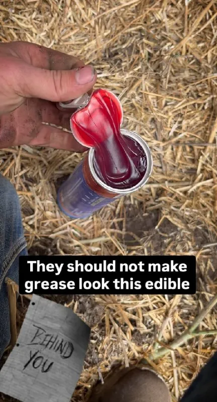 Edible-Looking Grease