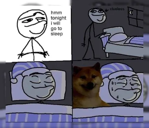 Tonight I Will Go to Sleep