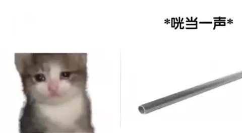 小猫带着咣当声吃东西