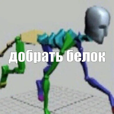 Добрать белок любой ценой