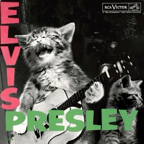 Cat Elvis Presley Cover