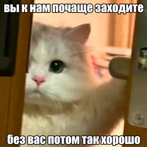 Без вас потом так хорошо