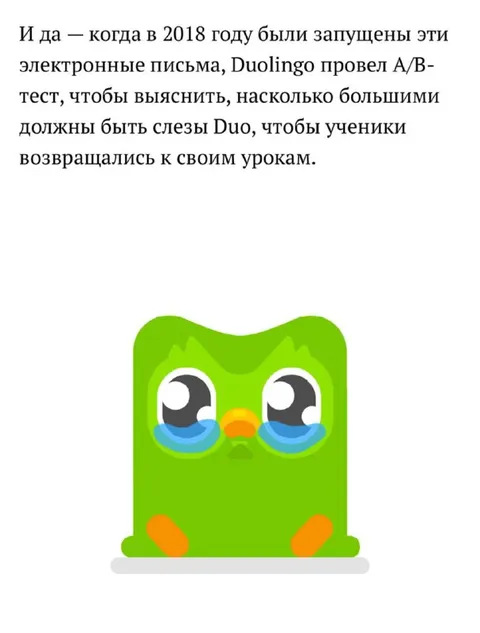 Слёзы Duo возвращают к урокам