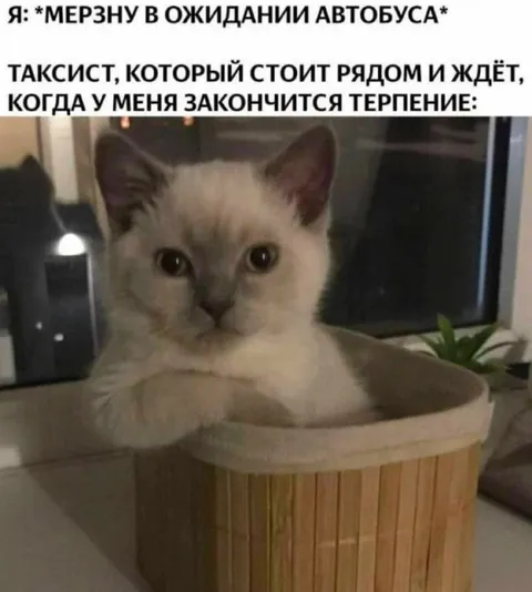 Таксист ждёт моего терпения