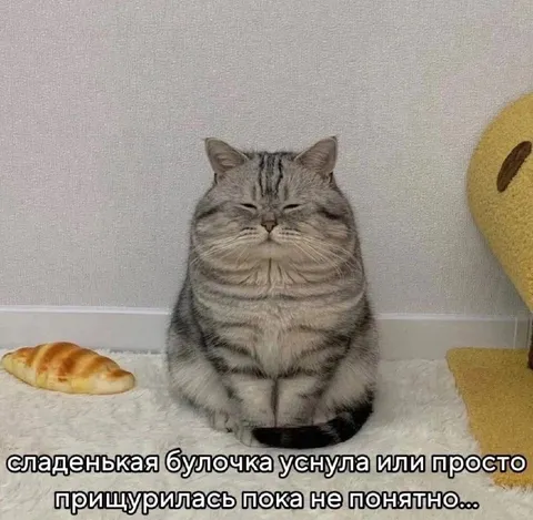 Сладенькая булочка прищурилась