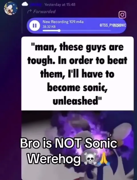 Bro Is Not Sonic Werehog