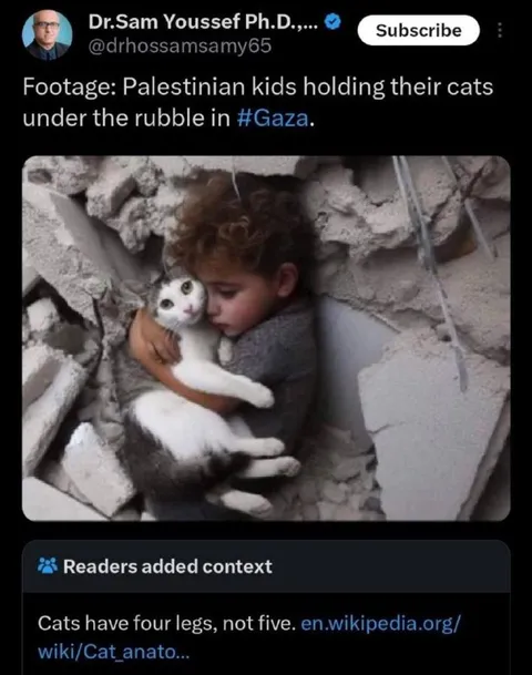Palestinian Child Holds Cat in Rubble