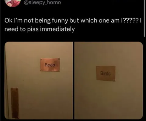 Which One Am I? Bees or Birds