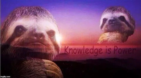 Knowledge Is Power Sloth