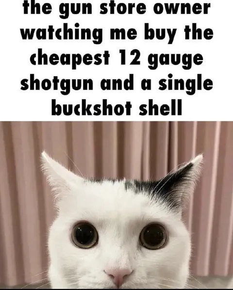 Cheapest Shotgun and Single Buckshot Shell