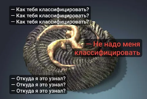 Не надо меня классифицировать