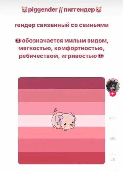 Пиггендер и свиньи
