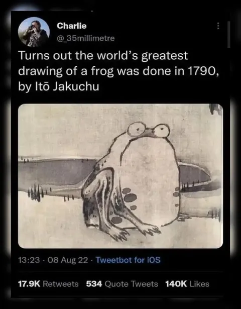 World's Greatest Frog Drawing
