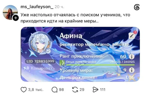 Репетитор по математике в Genshin