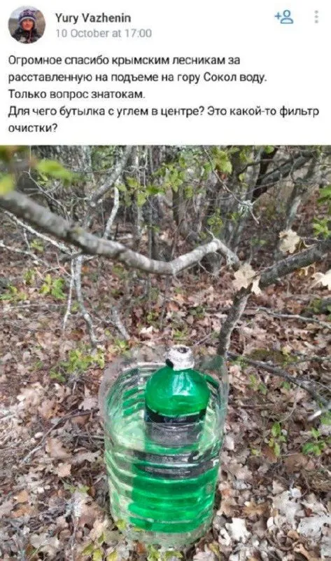 Бутылка с углем в лесу