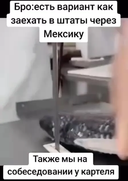 Собеседование у мексиканского картеля