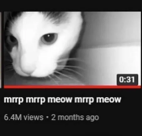 Mrrp Mrrp Meow Cat Video