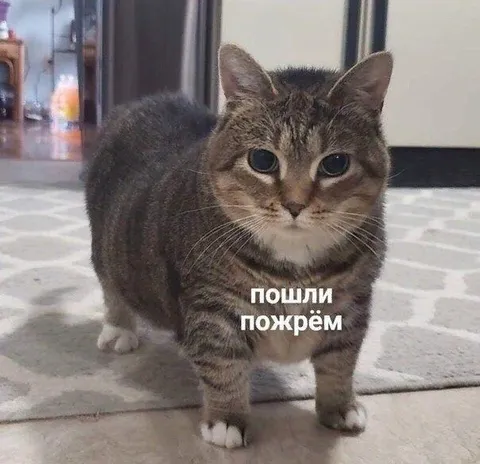 Пошли пожрём