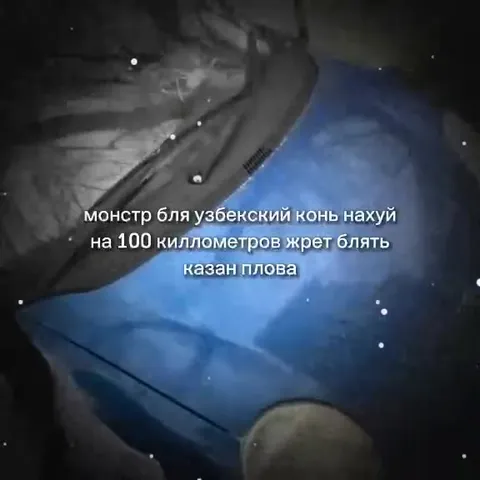 Монстр — узбекский конь