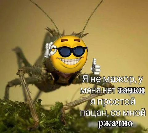 Я не мажор, у меня нет тачки