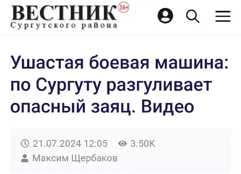 Опасный заяц гуляет по Сургуту