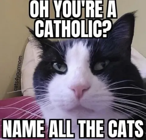 Cat Naming Challenge