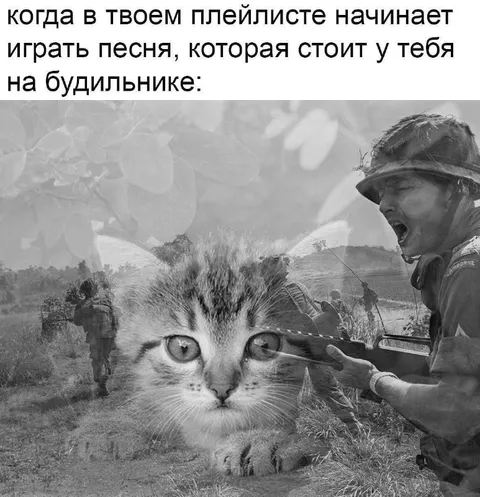 Песня с будильника в плейлисте