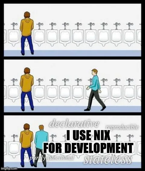 I Use Nix for Development