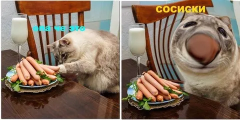 Кот увидел сосиски