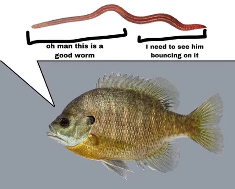 Worm Bouncing Fish