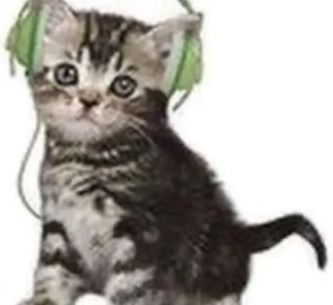 Котёнок в зелёных наушниках
