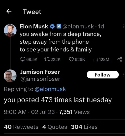 Elon Musk Posts Too Much