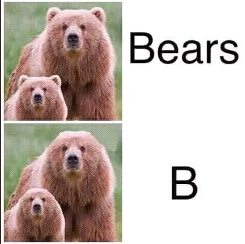 Bears B