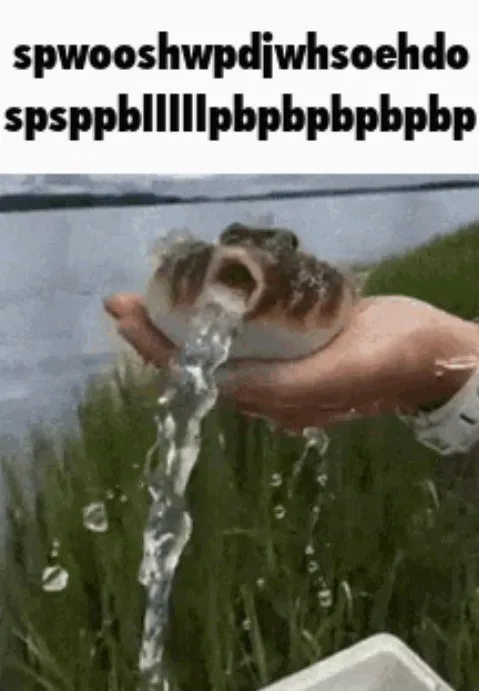 Frog Makes Weird Noises