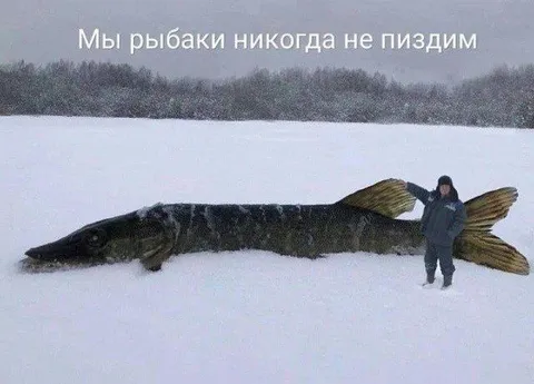 Рыбаки никогда не врут