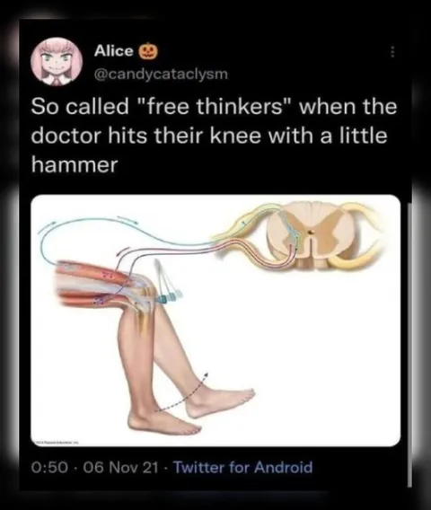 Free Thinkers Knee Reflex