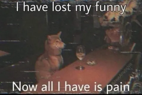 I Have Lost My Funny