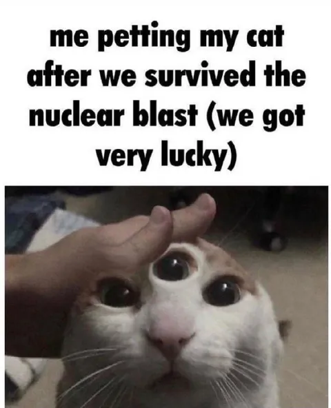 Petting Cat After Nuclear Blast