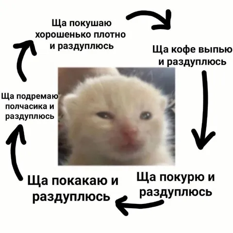 Ща раздуплюсь
