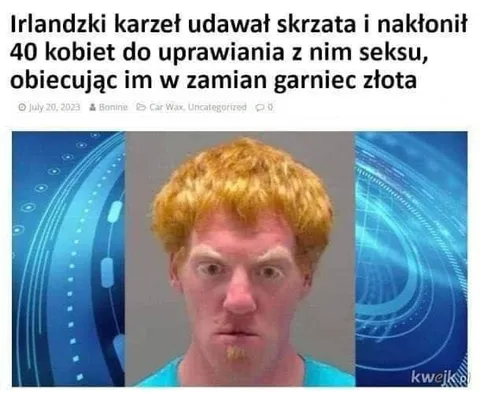 Irlandzki karzeł i garnek złota