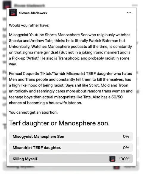 TERF Daughter or Manosphere Son