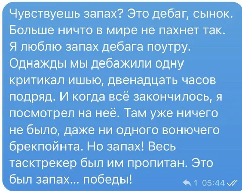 Запах победы после дебага