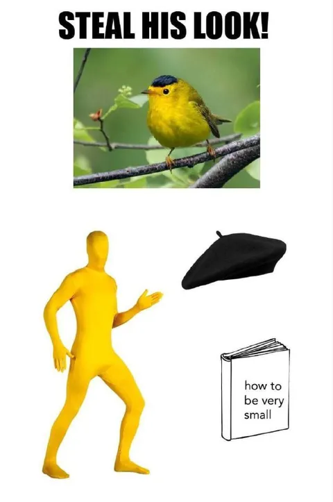 Steal His Look Bird Edition
