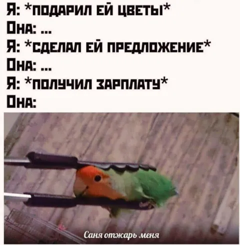 Она отреагировала на зарплату