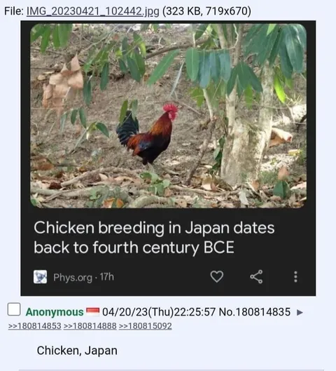 Chicken Breeding in Japan