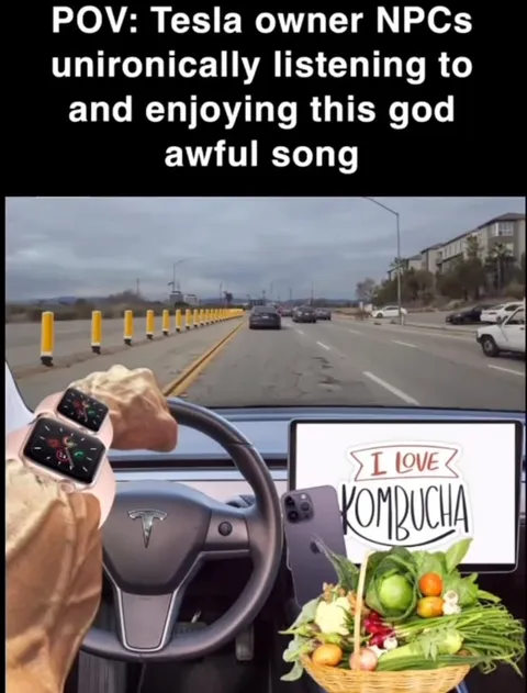 Tesla Owner Loves Kombucha
